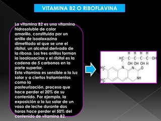 VITAMINA B2 O RIBOFLAVINA
La vitamina B2 es una vitamina
hidrosoluble de color
amarillo, constituida por un
anillo de isoaloxazina
dimetilado al que se une el
ribitol, un alcohol derivado de
la ribosa. Los tres anillos forman
la isoaloxacina y el ribitol es la
cadena de 5 carbonos en la
parte superior.
Esta vitamina es sensible a la luz
solar y a ciertos tratamientos
como la
pasteurización, proceso que
hace perder el 20% de su
contenido. Por ejemplo, la
exposición a la luz solar de un
vaso de leche durante dos
horas hace perder el 50% del
contenido de vitamina B2.

 