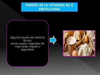 FUENTES DE LA VITAMINA B2 O
RIBOFLAVINA

Algunas fuentes de vitamina
B2 son:
leche, queso, vegetales de
hoja verde, hígado y
legumbres

 
