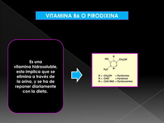 VITAMINA B6 O PIRODIXINA

Es una
vitamina hidrosoluble,
esto implica que se
elimina a través de
la orina, y se ha de
reponer diariamente
con la dieta.

 