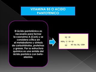 VITAMINA B5 O ACIDO
PANTOTENICO

El ácido pantoténico es
necesario para formar
la coenzima A (CoA) y se
considera crítico en
el metabolismo y síntesis
de carbohidratos, proteínas
y grasas. Por su estructura
química es una amida del
ácido pantoico con betaalanina.

 