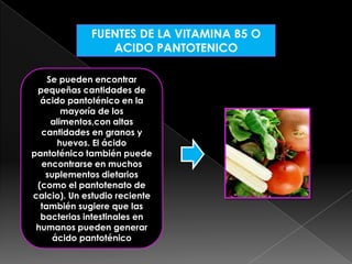 FUENTES DE LA VITAMINA B5 O
ACIDO PANTOTENICO
Se pueden encontrar
pequeñas cantidades de
ácido pantoténico en la
mayoría de los
alimentos,con altas
cantidades en granos y
huevos. El ácido
pantoténico también puede
encontrarse en muchos
suplementos dietarios
(como el pantotenato de
calcio). Un estudio reciente
también sugiere que las
bacterias intestinales en
humanos pueden generar
ácido pantoténico

 