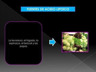 FUENTES DE ACIDO LIPOICO

La levadura, el hígado, la
espinaca, el brócoli y las
papas

 