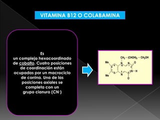 VITAMINA B12 O COLABAMINA

Es
un complejo hexacoordinado
de cobalto. Cuatro posiciones
de coordinación están
ocupadas por un macrociclo
de corrina. Una de las
posiciones axiales se
completa con un
grupo cianuro (CN-)

 