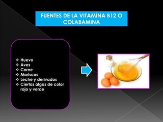 FUENTES DE LA VITAMINA B12 O
COLABAMINA








Huevo
Aves
Carne
Mariscos
Leche y derivados
Ciertas algas de color
rojo y verde

 
