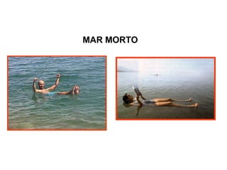 MAR MORTO
 