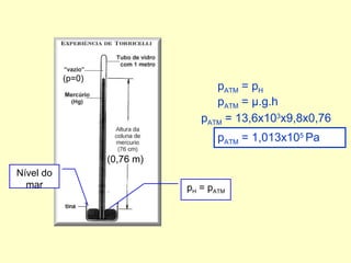 (p=0)
                                    pATM = pH
                                    pATM = µ.g.h
                                 pATM = 13,6x103x9,8x0,76
                                     pATM = 1,013x105 Pa
                   (0,76 m)
Nível do
  mar                         pH = pATM
 