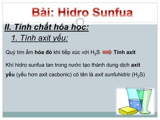 II. Tính chất hóa học:
1. Tính axit yếu:
Quỳ tím ẩm hóa đỏ khi tiếp xúc với H2S Tính axit
Khí hidro sunfua tan trong nước tạo thành dung dịch axit
yếu (yếu hơn axit cacbonic) có tên là axit sunfuhidric (H2S)
 