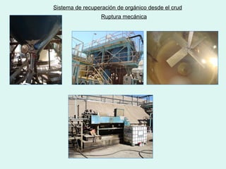Sistema de recuperación de orgánico desde el crud
Ruptura mecánica
 