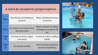 A nivel de receptores propioceptivos
Tipo I
En relación a la dinámica y
postura
Mejor actitud postural en
la marcha.
Tipo II
En relación a la aceleración y
desaceleración
Mayor contacto de talón y
despegue de la punta del
pie.
Tipo
III
En relación de los rangos
articulares
A nivel de cadera, rodilla y
tobillo.
Tipo
IV
En relación al dolor.
Prevenir futuras lesiones
musculo esqueléticas.
 