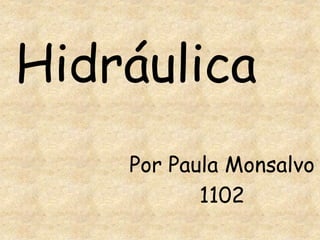 Hidráulica
Por Paula Monsalvo
1102
 