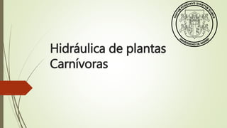 Hidráulica de plantas
Carnívoras
 