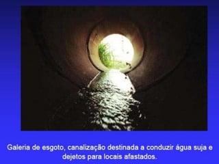 .
VISUALIZAÇÃO
 