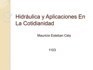 Hidráulica y Aplicaciones En
La Cotidianidad
Mauricio Esteban Cely
1103
 