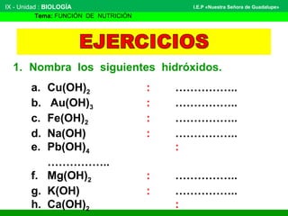 1. Nombra los siguientes hidróxidos.
IX - Unidad : BIOLOGÍA
Tema: FUNCIÓN DE NUTRICIÓN
I.E.P «Nuestra Señora de Guadalupe»
a. Cu(OH)2 : ……………..
b. Au(OH)3 : ……………..
c. Fe(OH)2 : ……………..
d. Na(OH) : ……………..
e. Pb(OH)4 :
……………..
f. Mg(OH)2 : ……………..
g. K(OH) : ……………..
h. Ca(OH)2 :
 