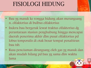 FISIOLOGI HIDUNG
• Bau yg masuk ke rongga hidung akan merangsang
n. olfaktorius di bulbus olfaktorius
• Indera bau bergerak lewat traktus olfaktorius dg
perantaraan stasiun penghubung hingga mencapai
daerah penerima akhir dlm pusat olfaktorius pd
lobus temporalis di otak besar tempat penafsiran
bau tsb.
• Rasa penciuman dirangsang oleh gas yg masuk dan
akan mudah hilang pd bau yg sama dlm waktu
lama

 