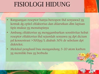 FISIOLOGI HIDUNG
• Rangsangan reseptor hanya berespon thd senyawa2 yg
kontak dg epitel olfaktorius dan dilarutkan dlm lapisan
tipis mukus yg menutupinya
• Ambang olfaktorius yg menggambarkan sensitivitas hebat
reseptor olfaktorius thd sejumlah senyawa yg dpt dicium
pd konsentrasi >500pg/L diubah 30% dr sebelum dpt
dideteksi.
• Molekul penghasil bau mengandung 3-20 atom karbon
yg memiliki bau yg berbeda

 