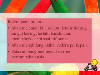 Indera penciuman :
• Akan melemah bila selaput lendir hidung
sangat kering, terlalu basah, atau
membengkak spt saat influenza
• Akan menghilang akibat cedera pd kepala
• Batas ambang meningkat seiring
pertambahan usia

 