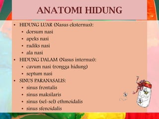 ANATOMI HIDUNG






HIDUNG LUAR (Nasus eksternus):
 dorsum nasi
 apeks nasi
 radiks nasi
 ala nasi
HIDUNG DALAM (Nasus internus):
 cavum nasi (rongga hidung)
 septum nasi
SINUS PARANASALIS:
 sinus frontalis
 sinus maksilaris
 sinus (sel-sel) ethmoidalis
 sinus sfenoidalis

 