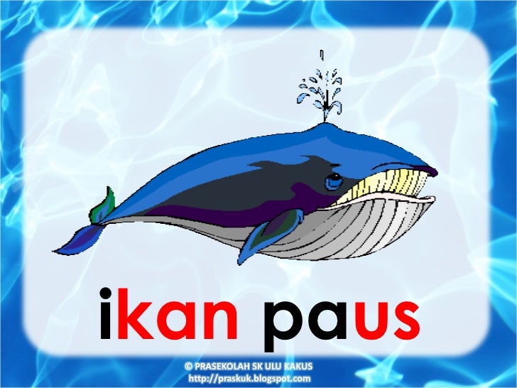 Hidupan Di Air 1
