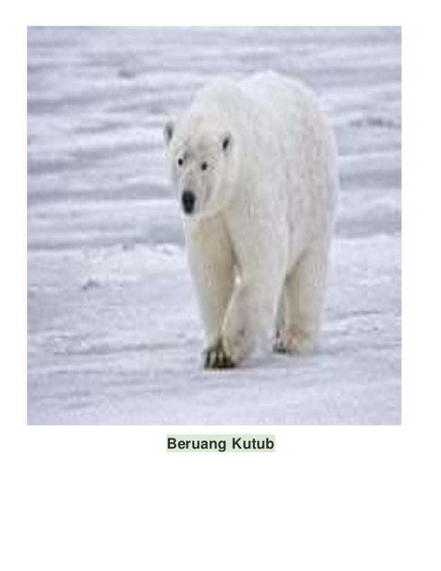 Hidup Dalam Cuaca Melampau