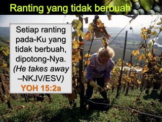 Setiap ranting
pada-Ku yang
tidak berbuah,
dipotong-Nya.
(He takes away
–NKJV/ESV)
YOH 15:2a
 