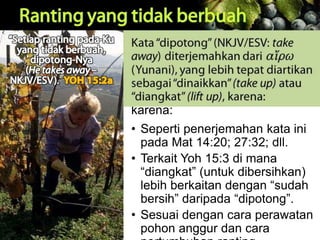 Kata “dipotong” (NKJV/ESV: take
away) diterjemahkan dari ai[rw
(Yunani), yang lebih tepat
diartikan sebagai “dinaikkan”
(take up) atau “diangkat” (lift up),
karena:
• Seperti penerjemahan kata ini
pada Mat 14:20; 27:32; dll.
• Terkait Yoh 15:3 di mana
“diangkat” (untuk dibersihkan)
lebih berkaitan dengan “sudah
bersih” daripada “dipotong”.
• Sesuai dengan cara perawatan
pohon anggur dan cara
 