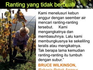 Kami menelusuri kebun
anggur dengan seember air
mencari ranting-ranting
tersebut. Kami
mengangkatnya dan
membasuhnya. Lalu kami
membungkusnya ke sekeliling
teralis atau mengikatnya.
Tak berapa lama kemudian
ranting-ranting itu tumbuh
dengan subur.”
BRUCE WILKINSON,
 