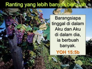Barangsiapa
tinggal di dalam
Aku dan Aku
di dalam dia,
ia berbuah
banyak.
YOH 15:5b
 