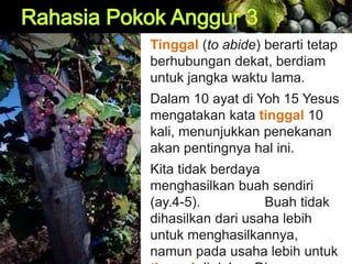 Tinggal (to abide) berarti tetap
berhubungan dekat, berdiam
untuk jangka waktu lama.
Dalam 10 ayat di Yoh 15 Yesus
mengatakan kata tinggal 10
kali, menunjukkan penekanan
akan pentingnya hal ini.
Kita tidak berdaya
menghasilkan buah sendiri
(ay.4-5). Buah tidak
dihasilkan dari usaha lebih
untuk menghasilkannya,
namun pada usaha lebih untuk
 