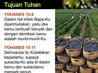YOHANES 15:8
Dalam hal inilah Bapa-Ku
dipermuliakan, yaitu jika
kamu berbuah banyak dan
dengan demikian kamu
adalah murid-murid-Ku.
YOHANES 15:11
Semuanya itu Kukatakan
kepadamu, supaya
sukacita-Ku ada di dalam
kamu dan sukacitamu
 