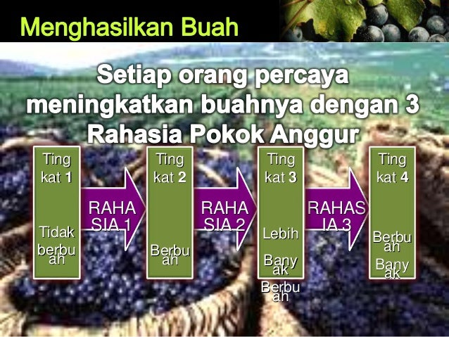 Hidup yang Berbuah Hidup yang Berbuah