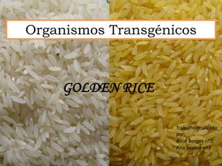 Organismos Transgénicos



    GOLDEN RICE

                    Trabalho realizado
                    por:
                    Alice Borges nº1
                    Ana Seabra nº2
 
