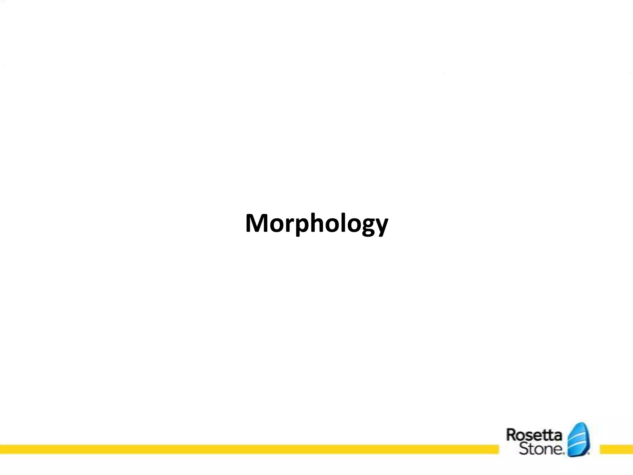 Morphology
 