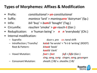 Hieber - An Introduction to Typology, Part I: Morphological Typology | PPTX