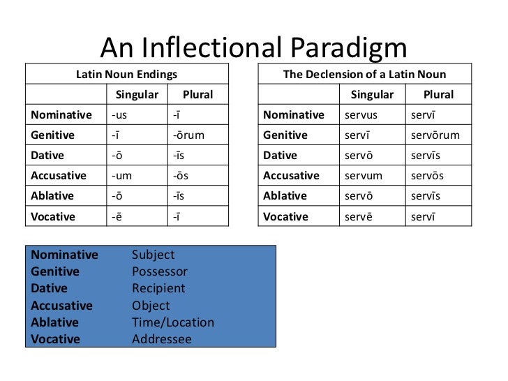 Ablative case latin endings - megaryte