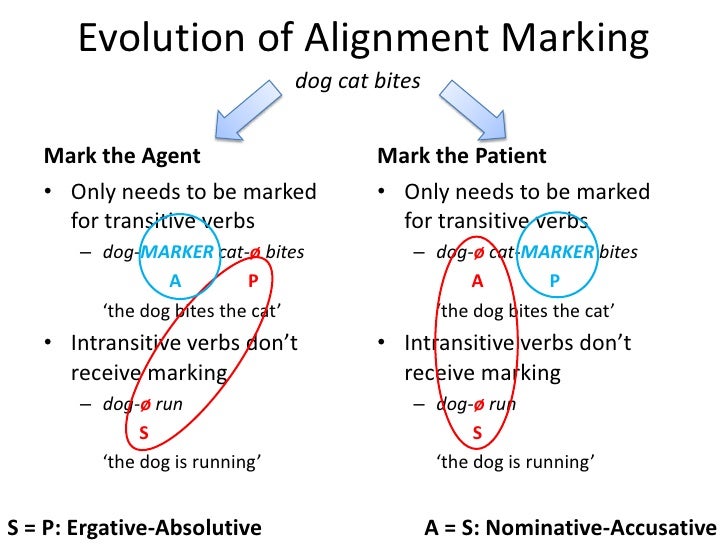 read 2 transitive permutation groups