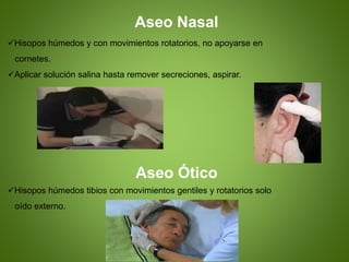 Aseo Nasal
Hisopos húmedos y con movimientos rotatorios, no apoyarse en
cornetes.
Aplicar solución salina hasta remover secreciones, aspirar.
Aseo Ótico
Hisopos húmedos tibios con movimientos gentiles y rotatorios solo
oído externo.
 