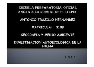 ESCUELA PREPARATORIA OFICIAL
ANEXA A LA NORMAL DE SULTEPEC
ANTONIO TRUJILLO HERNANDEZ
MATRICULA: 3109
GEOGRAFIA Y MEDIO AMBIENTE
INVESTIGACION AUTOECOLOGICA DE LA
HIENA
A. O. C. C
 