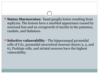 Status Marmoratus: basal ganglia lesion resulting from
asphyxia. The lesions have a marbled appearance caused by
neuronal loss and an overgrowth of myelin in the putamen,
caudate, and thalamus.
Selective vulnerability - The hippocampal pyramidal
cells of CA1, pyramidal neocortical neurons (layers 3, 5, and
6), Purkinje cells, and striatal neurons have the highest
vulnerability.
 