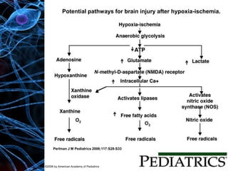 Perlman J M Pediatrics 2006;117:S28-S33
©2006 by American Academy of Pediatrics
Potential pathways for brain injury after hypoxia-ischemia.
 