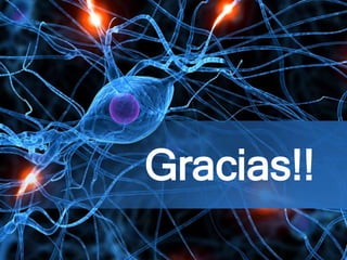 Gracias!!
 