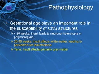 Pathophysiology
• Gestational age plays an important role in
the susceptibility of CNS structures
 < 20 weeks: Insult leads to neuronal heterotopia or
polymicrogyria
 26-36 weeks: Insult affects white matter, leading to
periventricular leukomalacia
 Term: Insult affects primarily gray matter
 