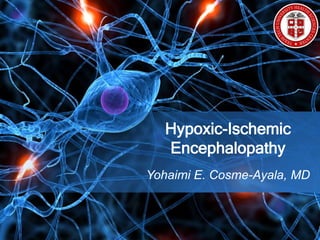 Yohaimi E. Cosme-Ayala, MD
Hypoxic-Ischemic
Encephalopathy
 