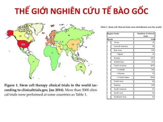 THẾ GIỚI NGHIÊN CỨU TẾ BÀO GỐC
 