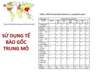 SỬ DỤNG TẾ
BÀO GỐC
TRUNG MÔ
 