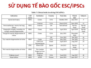 SỬ DỤNG TẾ BÀO GỐC ESC/iPSCs
 