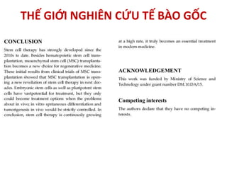 THẾ GIỚI NGHIÊN CỨU TẾ BÀO GỐC
 