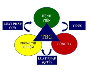 CÔNG TY
BỆNH
VIỆN
PHÒNG THÍ
NGHIỆM
TBG
Y ĐỨC
LUẬT PHÁP
(VN)
LUẬT PHÁP
(Q.TẾ)
 