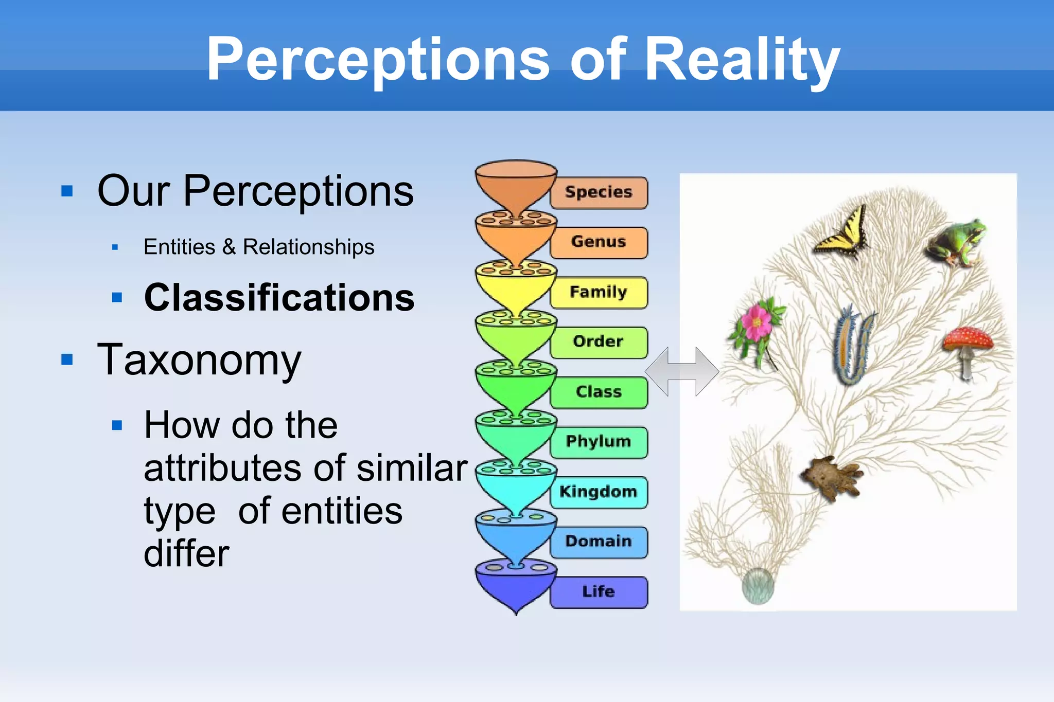 Perceptions of Reality
 Our Perceptions
 Entities & Relationships
 Classifications
 Taxonomy
 How do the
attributes of similar
type of entities
differ
 