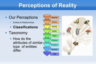 Perceptions of Reality
 Our Perceptions
 Entities & Relationships
 Classifications
 Taxonomy
 How do the
attributes of similar
type of entities
differ
 